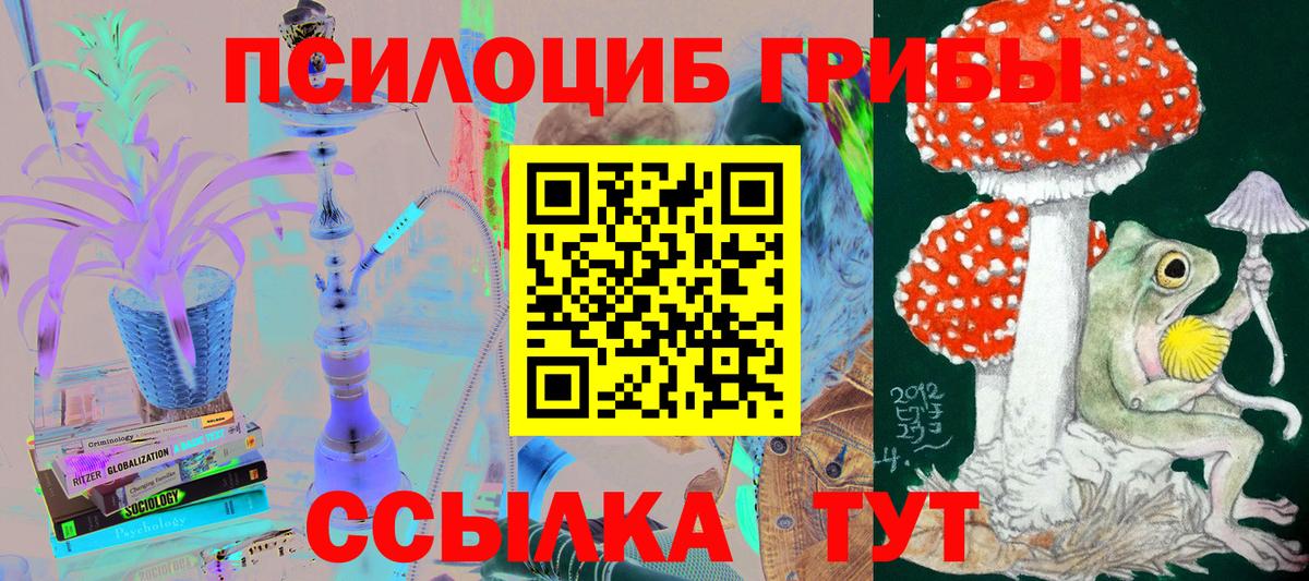 Сосновый Бор  Псилоцибиновые грибы мицелий  Вход с VPN  как найти   Псилоцибиновые грибы MAGIC MUSHROOMS 
