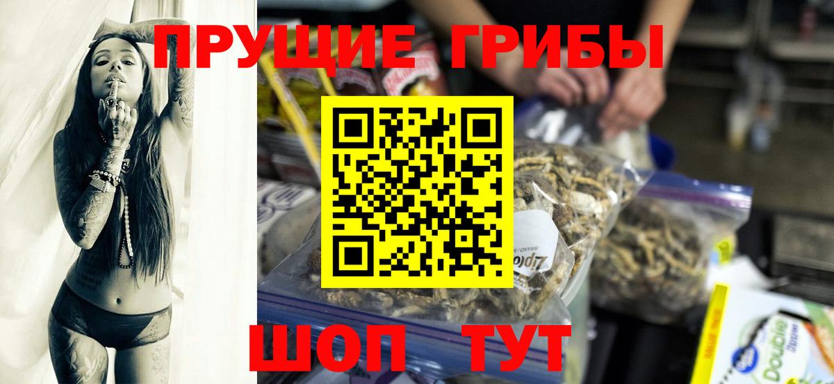 Галлюциногенные грибы мицелий Сосновый Бор